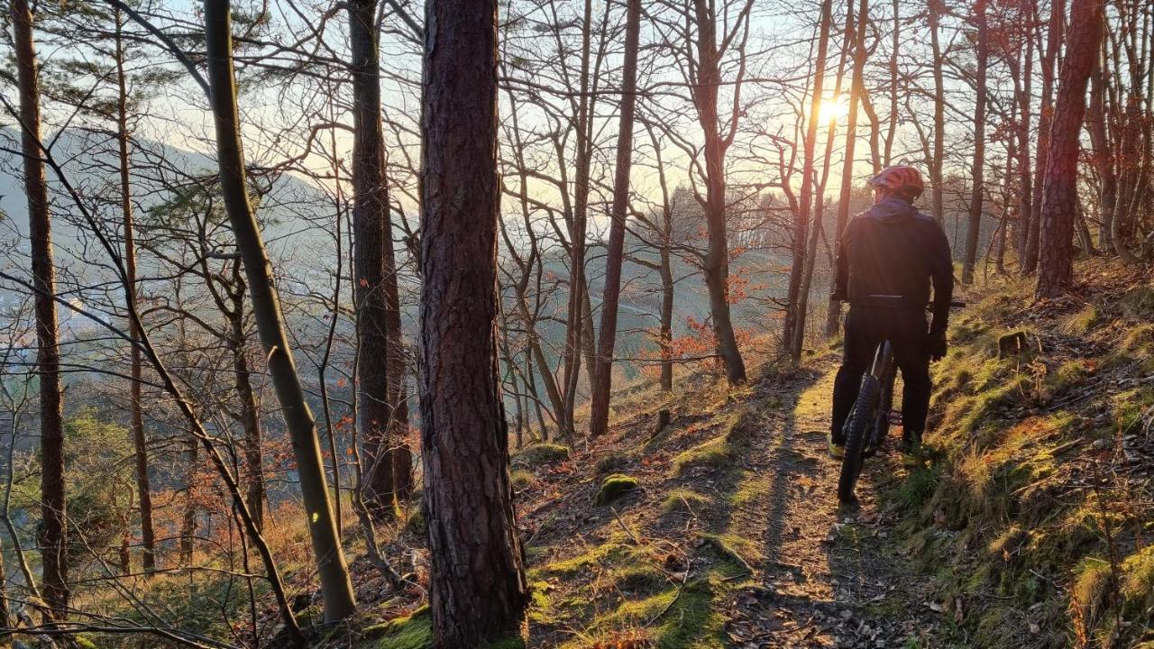 Exklusives Holzhaus Mit Bergbahn - Baden-Baden Im Schwarzwald Villa Dış mekan fotoğraf